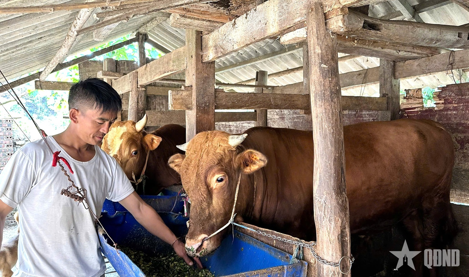 Thò Mí Xá – Bí thư người Mông gieo niềm tin trên miền đá núi


